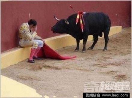 必看盘点揭秘!斗牛链接可以开挂吗—真实可以装挂
