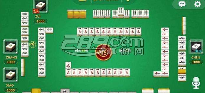玩家必备攻略“闲来贵州麻将开挂计算方法!其实确实有挂的