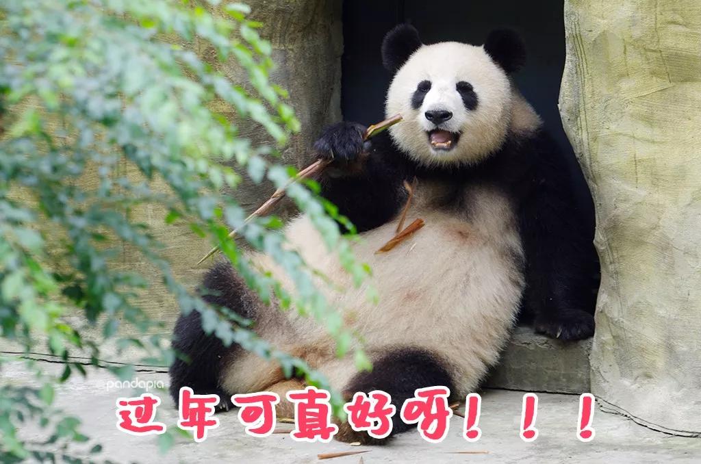 新教你‘‘雀神麻将怎么控制输赢”(原来真的有挂)-知乎 