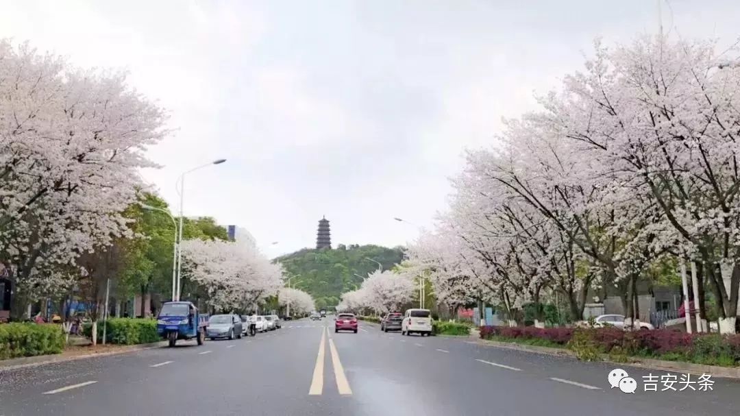 玩家必备教程中至吉安到底有没有挂”-太坑了原来有挂